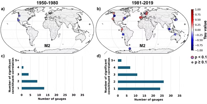 Global analysis of tidal constituent co-variability